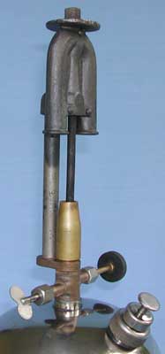 sandiegolanterncoremarsh