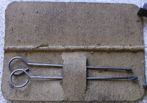 eveningstarkildarkprickersmcrae