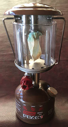 colemancanada222jan80johnson