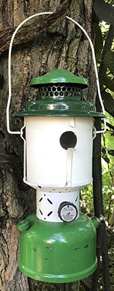 coleman220e561birdhousetreutler