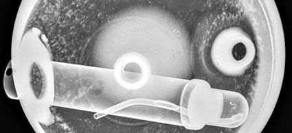 coleman242abottomxraynarrow